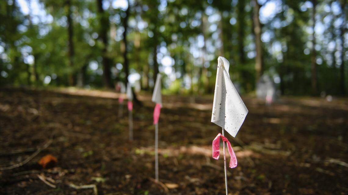 Slaves could have been buried at a South Carolina cemetery more than a century ago, officials said.