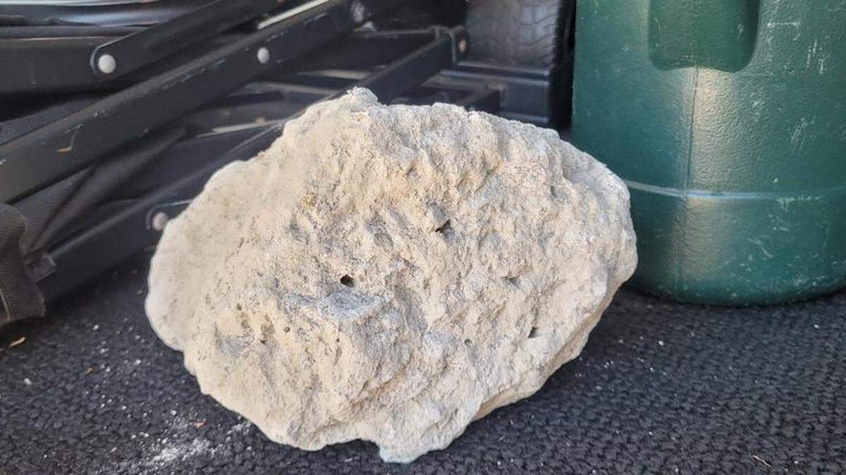 South Carolina fan Michelle Ross traded a Bojangles biscuit for a piece of the Williams-Brice Stadium renovation rubble.