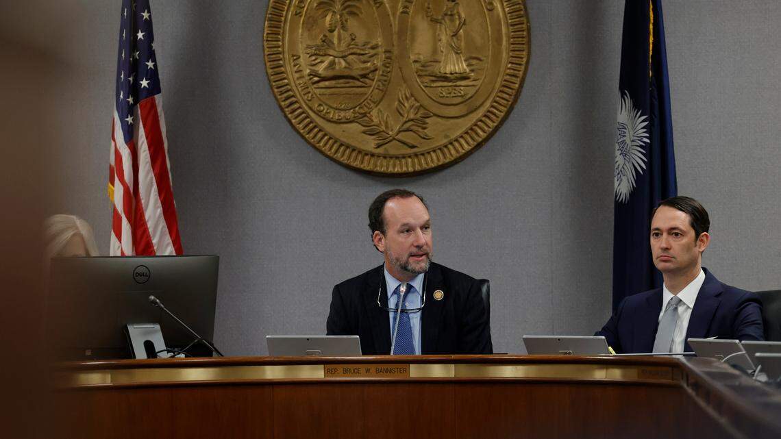 S.C. Rep. Bruce Bannister, R-Greenville presides over the Ways and Means Committee after being elected chairman on Wednesday, Dec. 7, 2022.