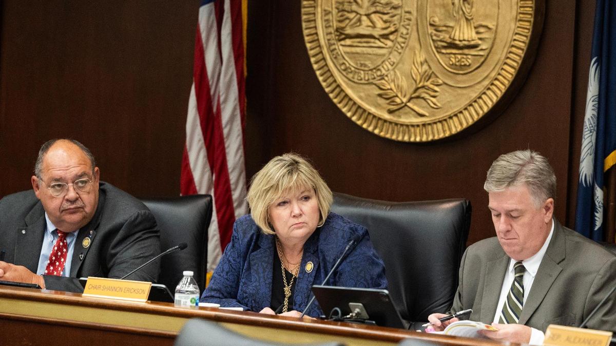 Lawmakers asked for audit of SC Charter Institute at Erskine. Here’s 5 things it found