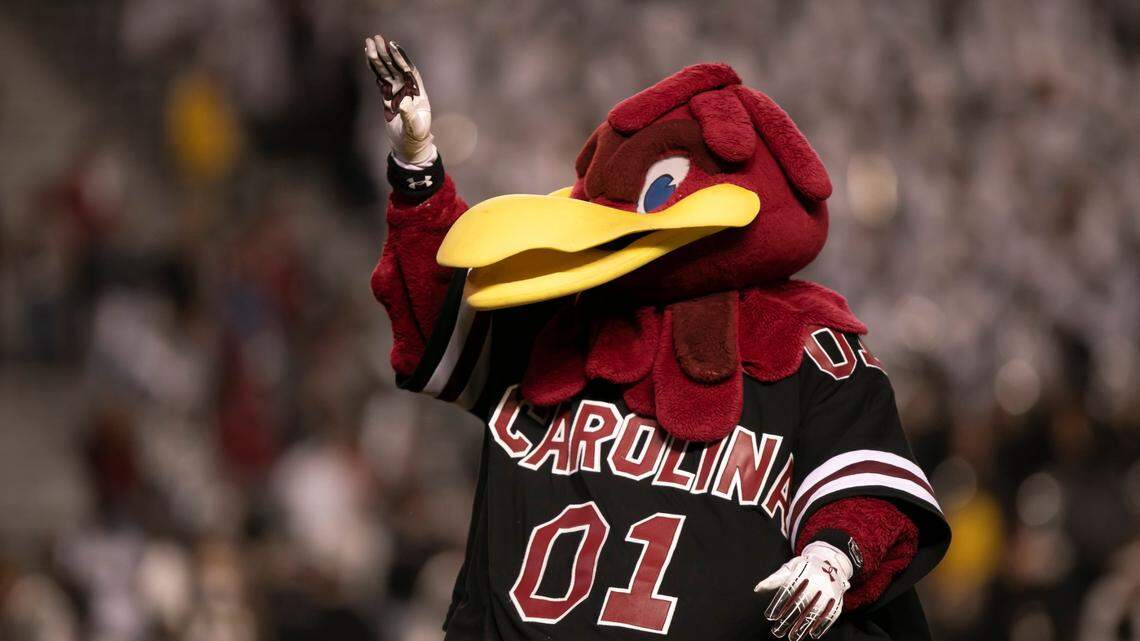 Cocky waves to the crowd during the Gamecocks’ game against Clemson at Williams-Brice Stadium on Saturday, November 27, 2021.