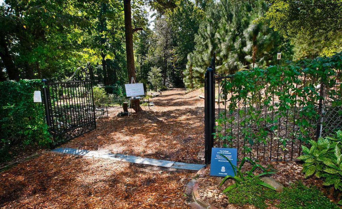 Belser Arboretum, a woodland preserve in Columbia off of Kilbourne road.