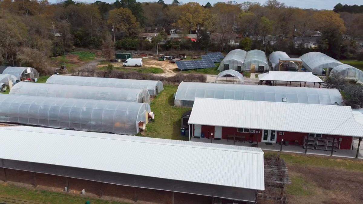 Solar panels help provide  power to City Roots, an organic farm in Columbia’s Rosewood neighborhood.