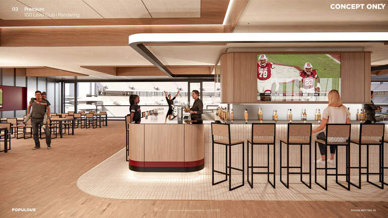 Williams-Brice Stadium will soon have new club seating. How much will it cost?