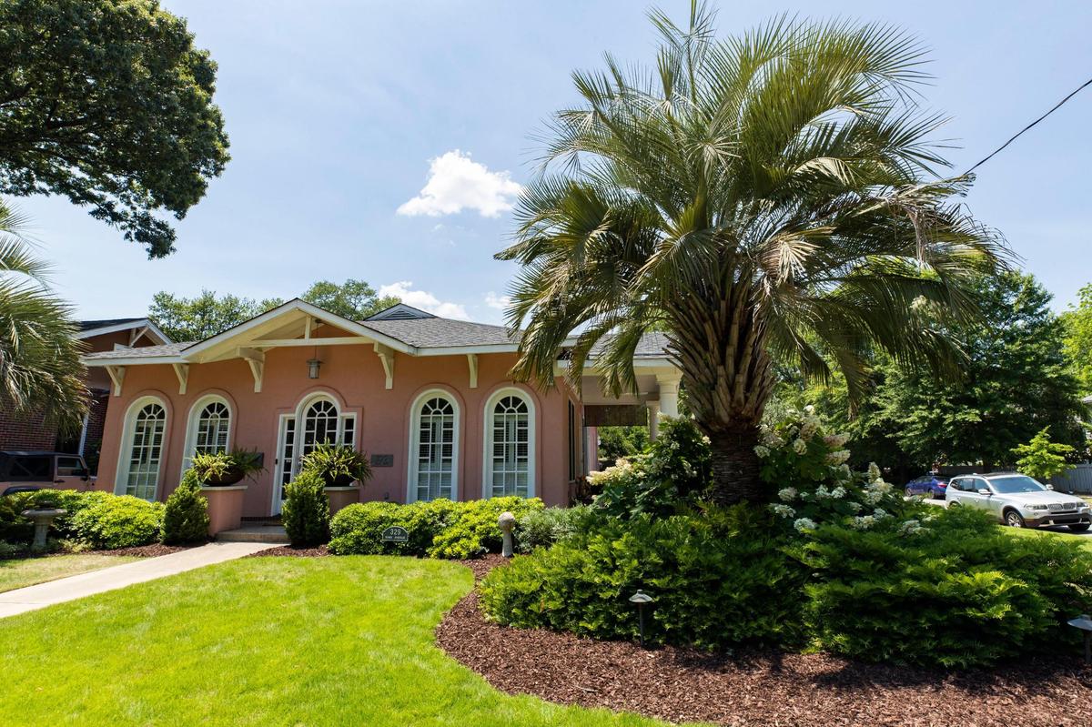 This pink home in Shandon replaces another home that was crushed by an oak tree. The backyard features flowering bushes and trees.