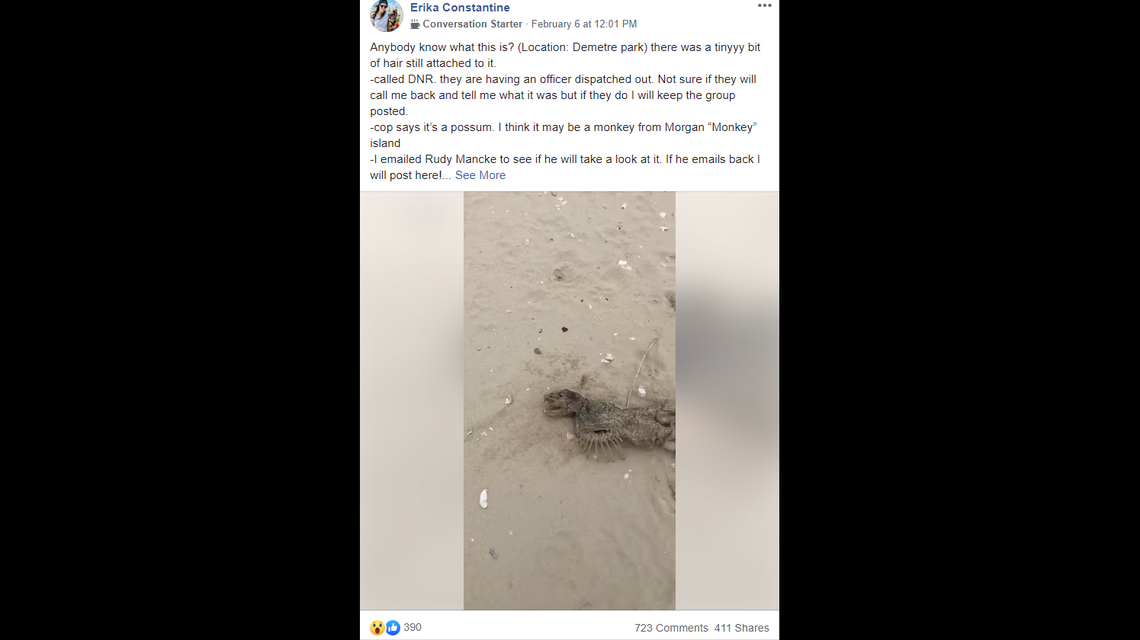 Erika Constantine reported on Feb. 6 that this washed up at Charleston’s Demetre Park.