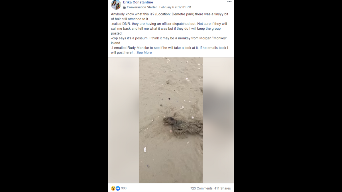 Erika Constantine reported on Feb. 6 that this washed up at Charleston’s Demetre Park.