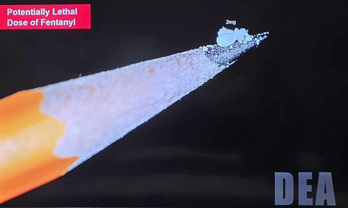 A slide from a presentation by the DEA on Sept. 17, 2025, shows a deadly dosage of fentanyl.