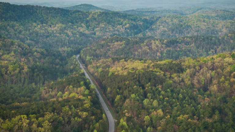 Mountain property saved from development along South Carolina scenic highway