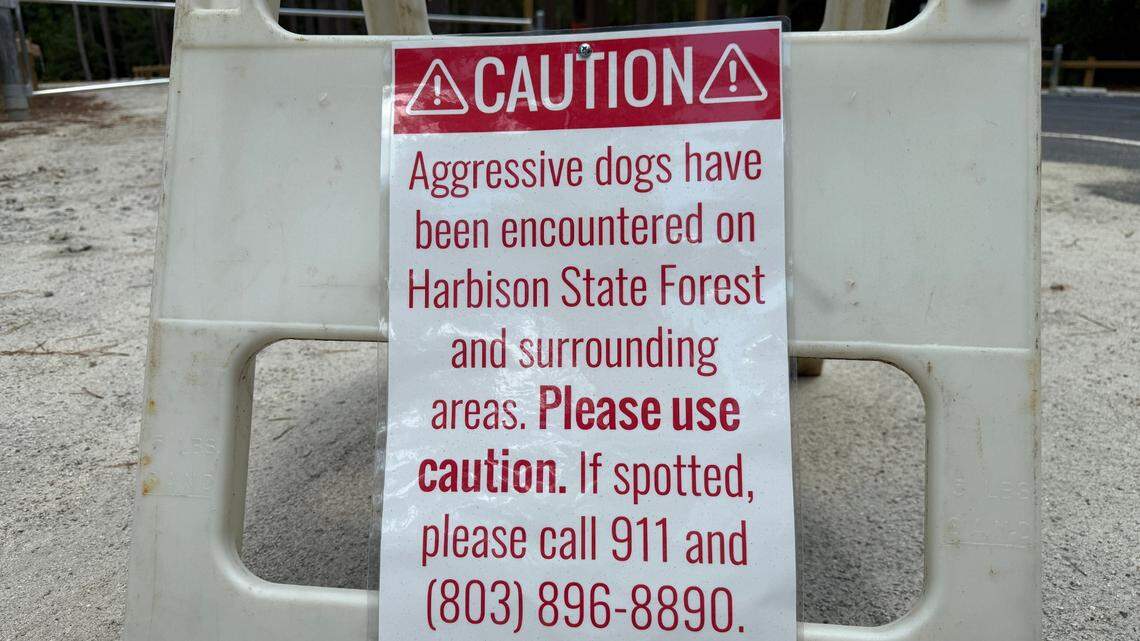 Park where dogs attacked joggers set to reopen, SC officials say. Here’s when