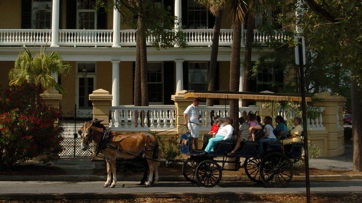 In this file photo, a mule is seen pulling a carriage in Charleston.