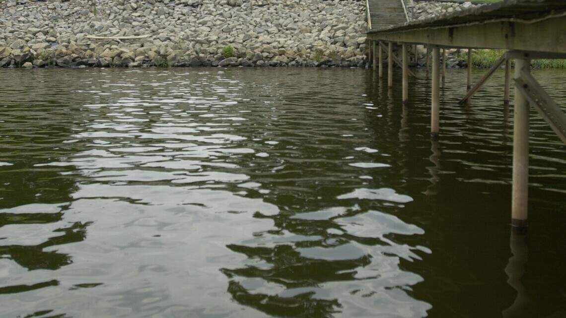 Body pulled from Lake Wateree after swimmer experiences ‘distress’