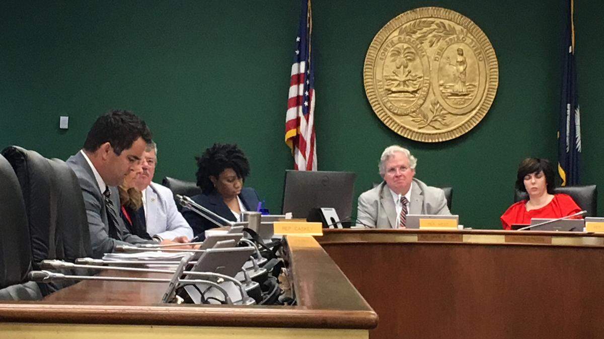 A S.C. House Oversight Committee panel questioned Department of Mental Health officials Tuesday about the suffocation of a patient in the agency’s care.