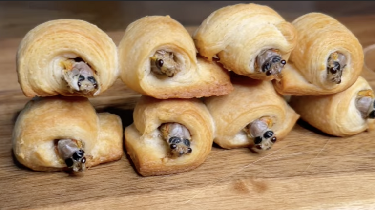 This SC couple just held a dinner party with only cicadas on the menu. Watch the taste testing