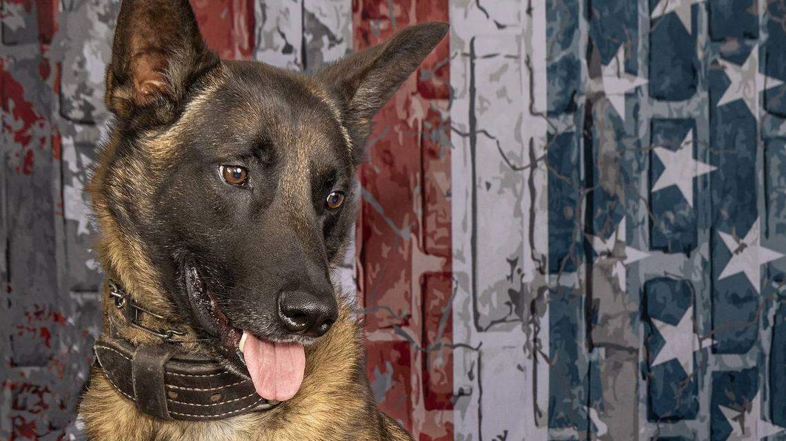 Wick, a Richland County Sheriff’s Department K9, was killed in the line of duty.