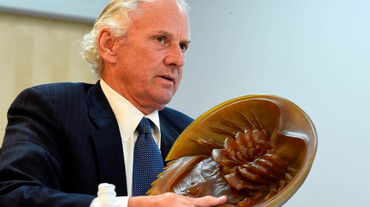 Of McMaster and marshes: Inside the $500K proposal to bleed protected SC horseshoe crabs