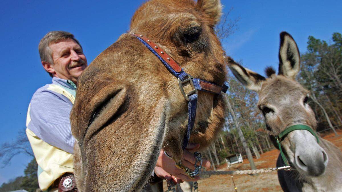 Lexington County Councilman Clifford Fisher with his camel, Abraham.