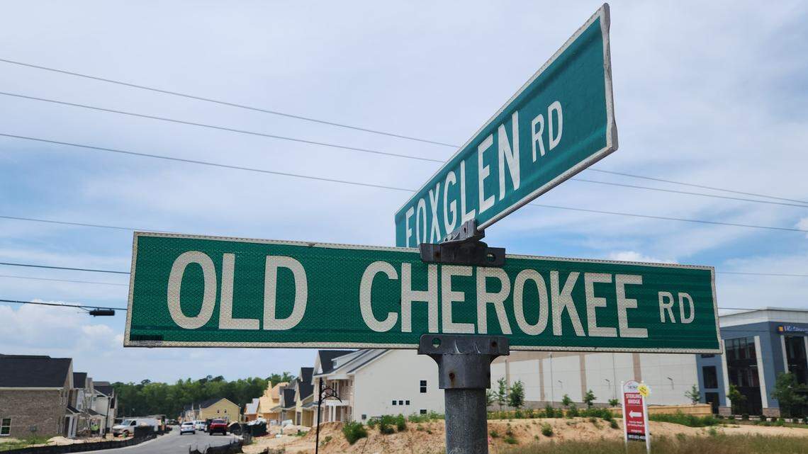 Lexington County and the cities and towns within its borders have been fighting for months over who should control residential growth.