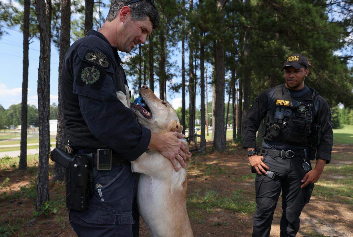 Drake Cobia, an investigator with the Richland County Sheriff’s Department, pets his dog Buddy, a yellow lab, following a K-9 training demonstration at the South Carolina Criminal Justice Academy in Columbia on Wednesday, May 22, 2024.