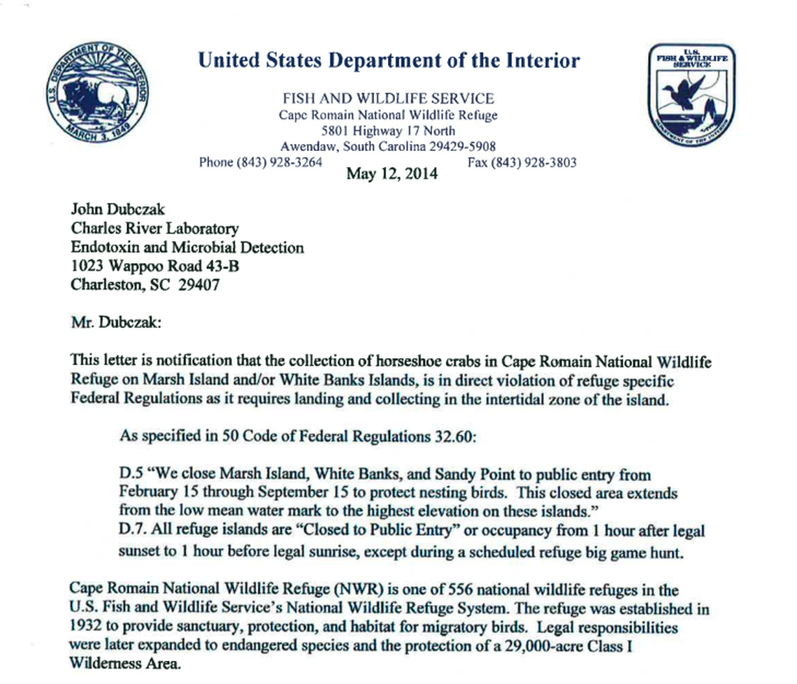 Charles River was informed in 2014 that fishermen delivering horseshoe crabs to them were harvesting them “in direct violation of refuge specific Federal Regulations.”