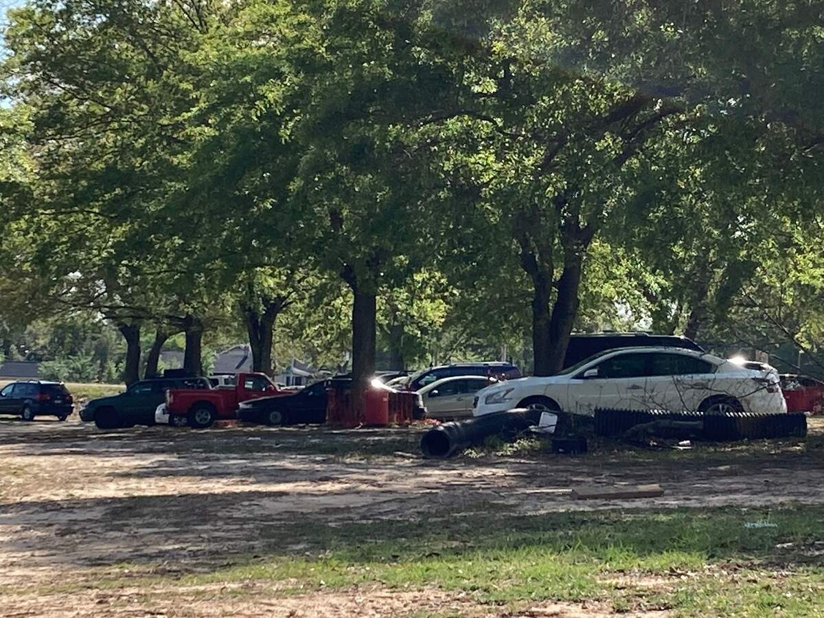 Cars have parked under trees at the Bull Street development site in Columbia. Arborist reports indicate that has caused trees to deteriorate.
