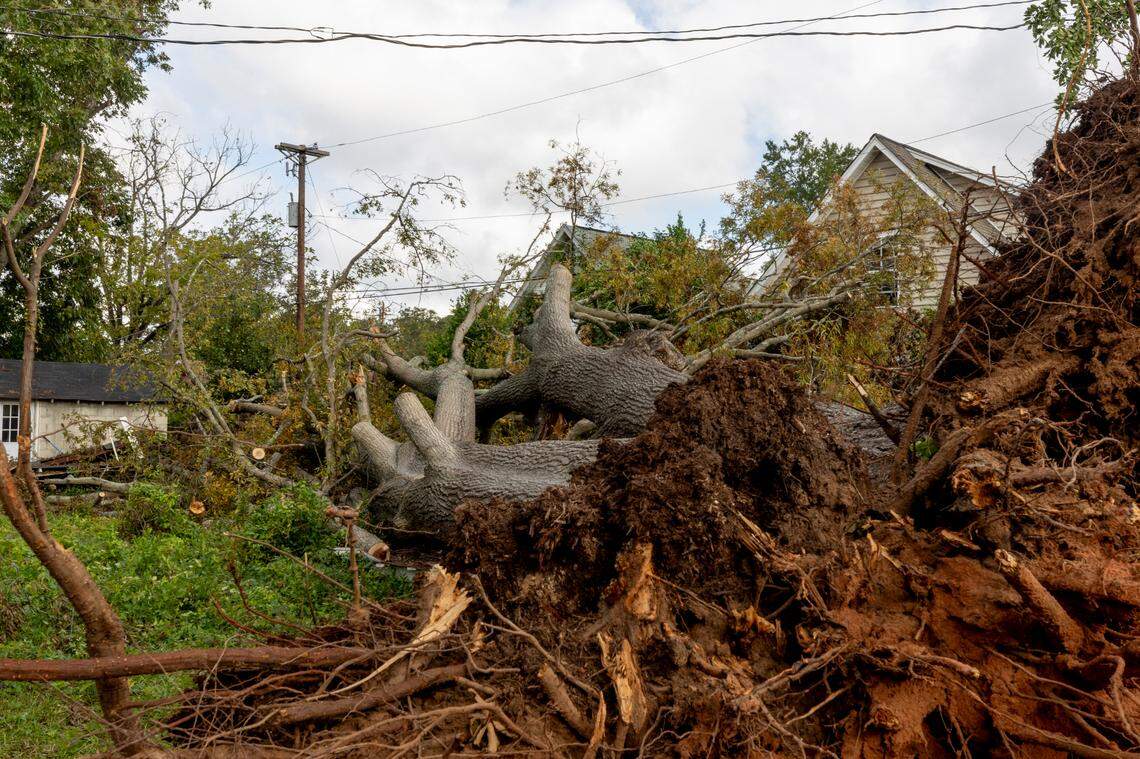 High winds blew down a large tree, tearing down a power line leaving people in Earlewood without power for almost a week after Hurricane Helene blew through the area.