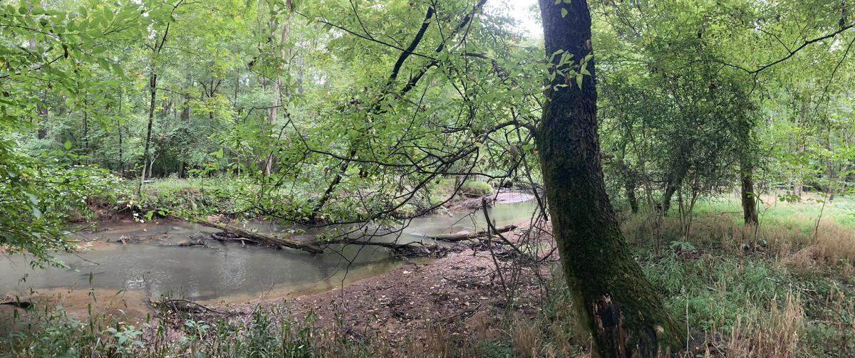Rivers like this could be depleted if South Carolina’s water law is not strengthened, critics say. This picture shows the Little River in Laurens County.