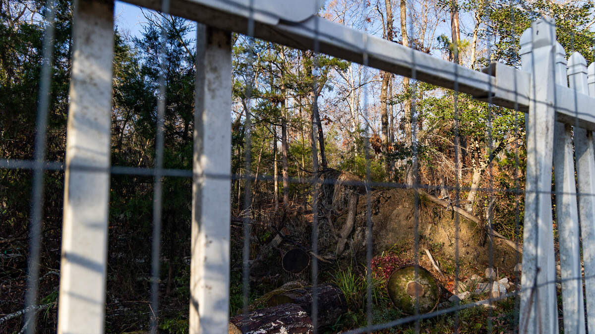 Linda Shanabrook shows the damage on her property caused by trees in her neighbor’s undeveloped lot on Wednesday, December 10, 2025. The resident of Lexington’s Night Harbor community says that flooding has increased as more construction starts near her home.