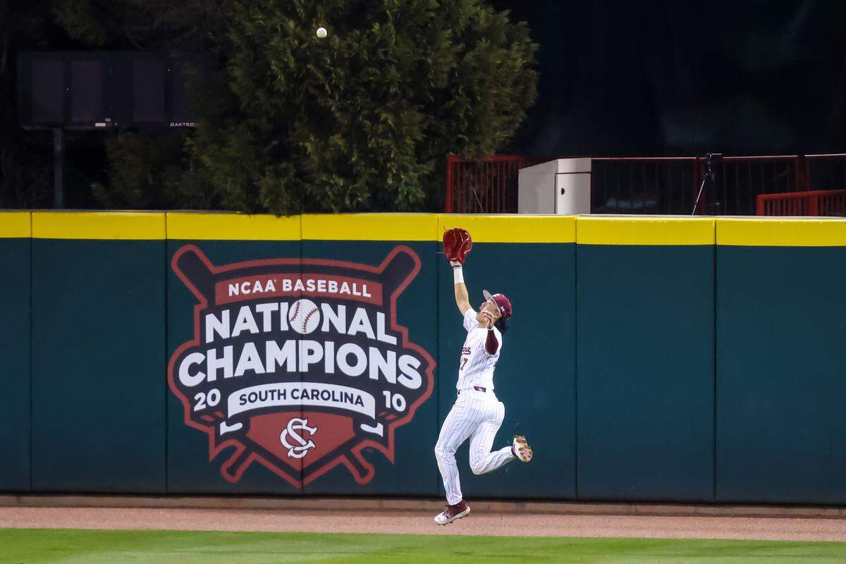 South Carolina will hire a new baseball coach sometime over the next few weeks.