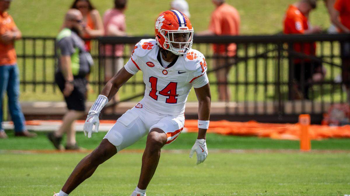 Clemson football safety Rob Billings (14)