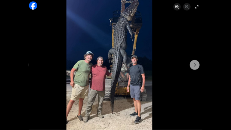 ‘Unbelievable 2½-hour fight’ ends with ‘monster in the boat,’ SC hunter says