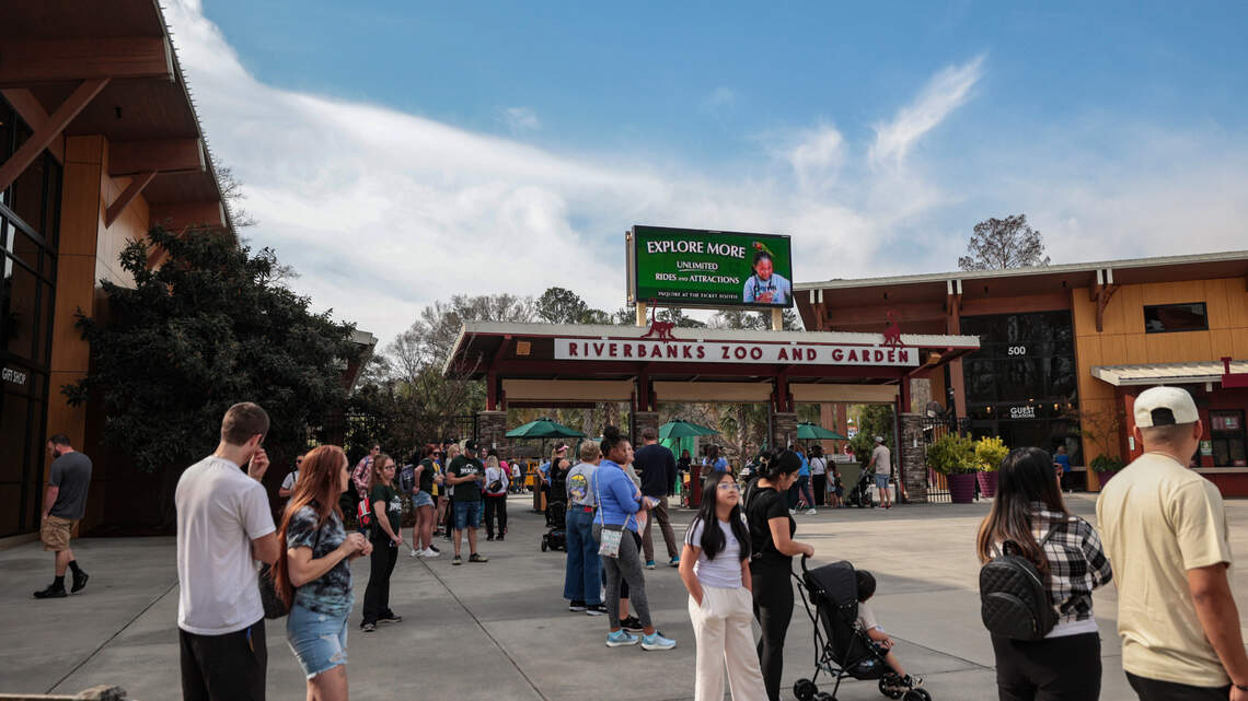 Sip cocktails and tour the zoo at night: Riverbanks’ ‘ZOOfari’ event returns.