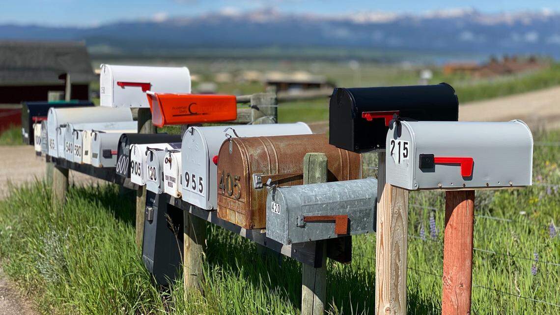 A couple took control of people’s bank accounts after stealing their mail in South Carolina, Florida and Georgia, prosecutors say. The man has pleaded guilty.