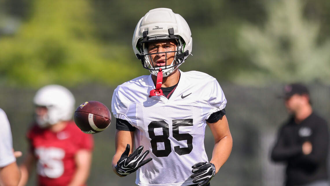 South Carolina freshman tight end arrested on ‘racing’ charge