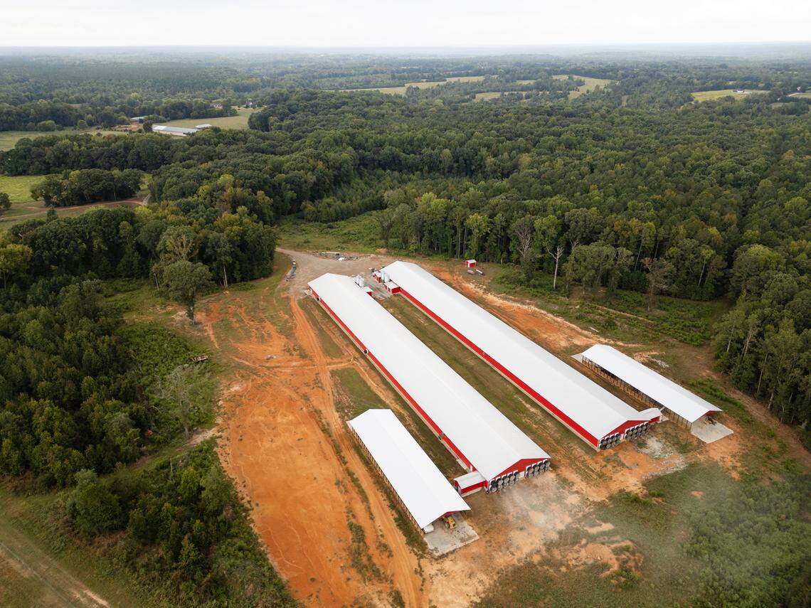 A cloud of dust shoots out of the ventilation fans of a chicken farm near Mountville, South Carolina in the Little River watershed on Wednesday, September 18, 2024. Charles Blackmon and his neighbors worry about odors and whether agricultural runoff will harm the Little River, which is already under stress from farming.