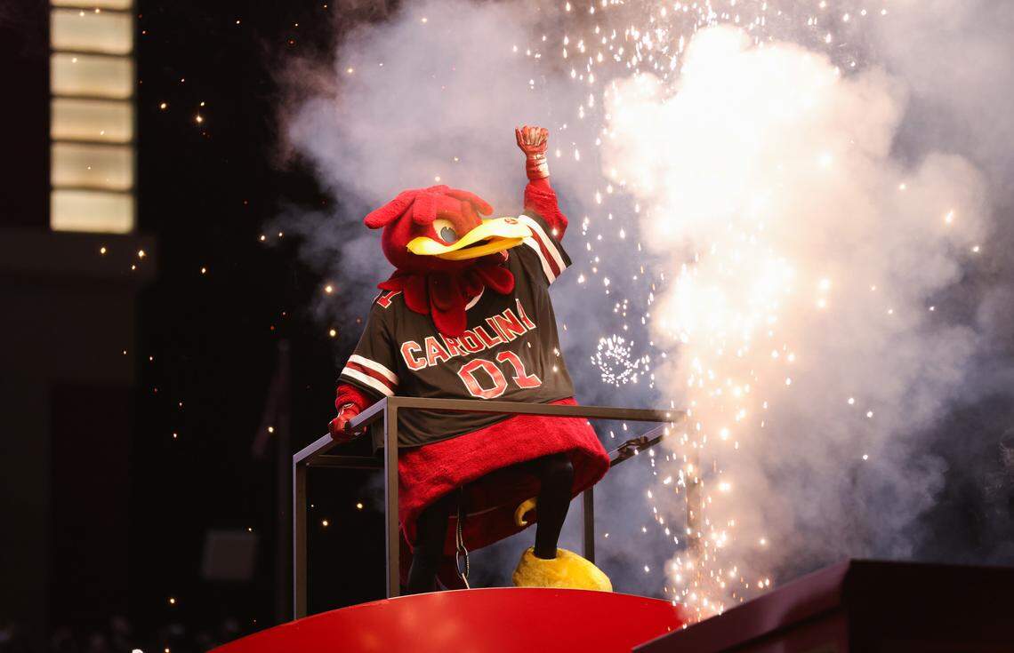 Cocky arrives before South Carolina’s game against Clemson at Williams-Brice Stadium in Columbia on Saturday, November 25, 2023.