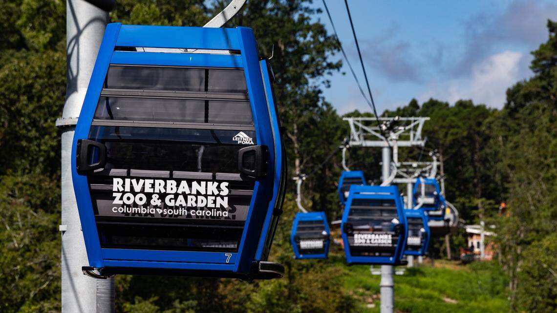 In the fall of 2025, Riverbanks Zoo & Garden opened an aerial gondola ride to take visitors between the zoo and botanical garden sides of the Saluda River.