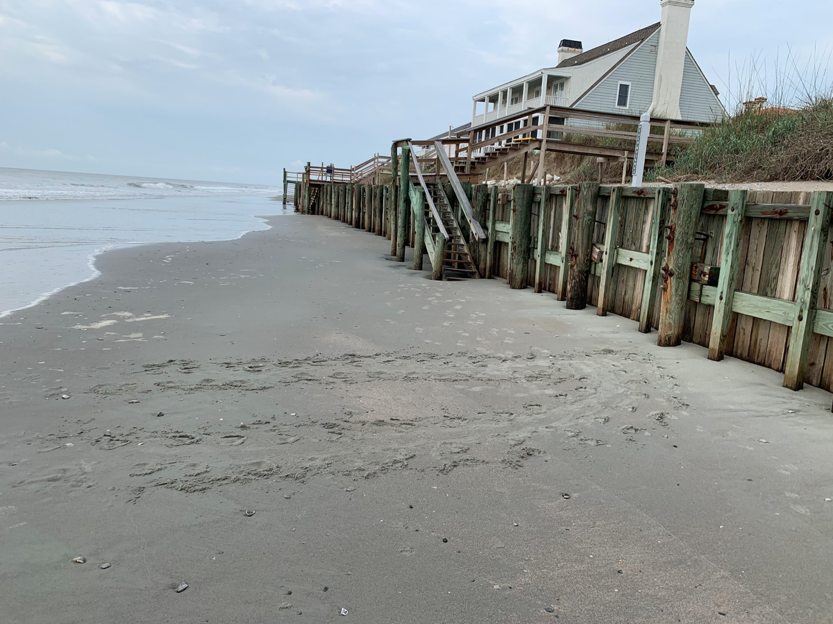 This seawall on the South Carolina coast shows how the beach has been eroded and the sand dunes washed away. Tracks in the wet sand show where a sea turtle came ashore, seeking to lay eggs in a dune, but turned around after the seawall blocked her.