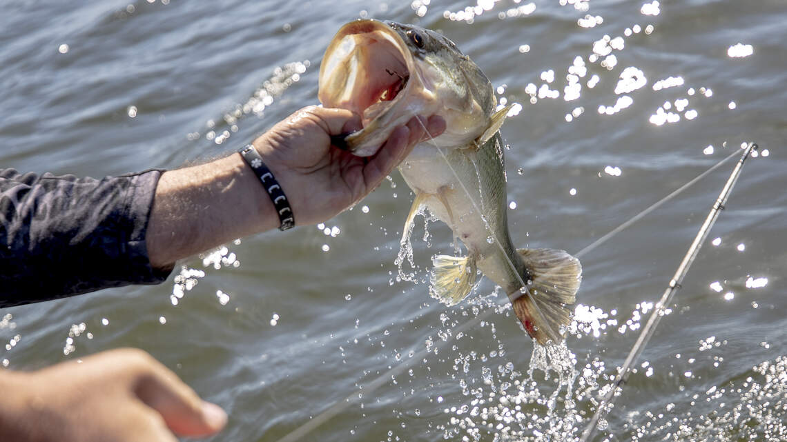 SC river the ‘most contaminated’ from dangerous forever chemicals, study finds