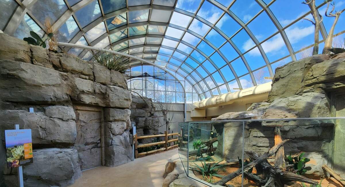 A new desert biome will be part of the Darnall W. and Susan F. Boyd Aquarium & Reptile Conservation Center at Riverbanks Zoo. The center opens March 2.