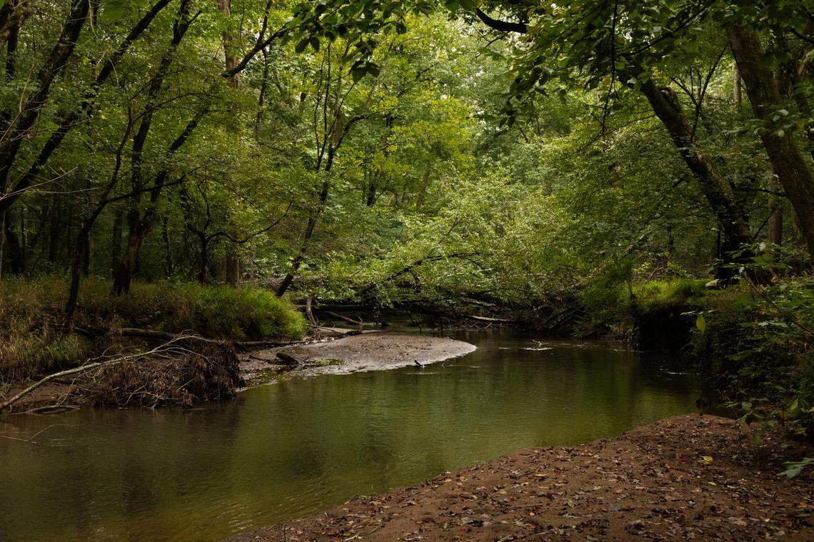 The Little River near Mountville, South Carolina on Wednesday, September 18, 2024.