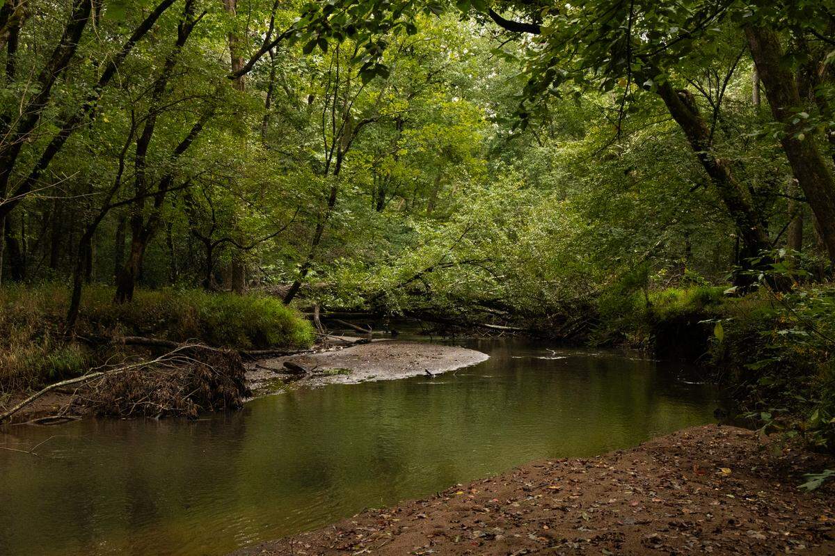 The Little River near Mountville, South Carolina on Wednesday, September 18, 2024.