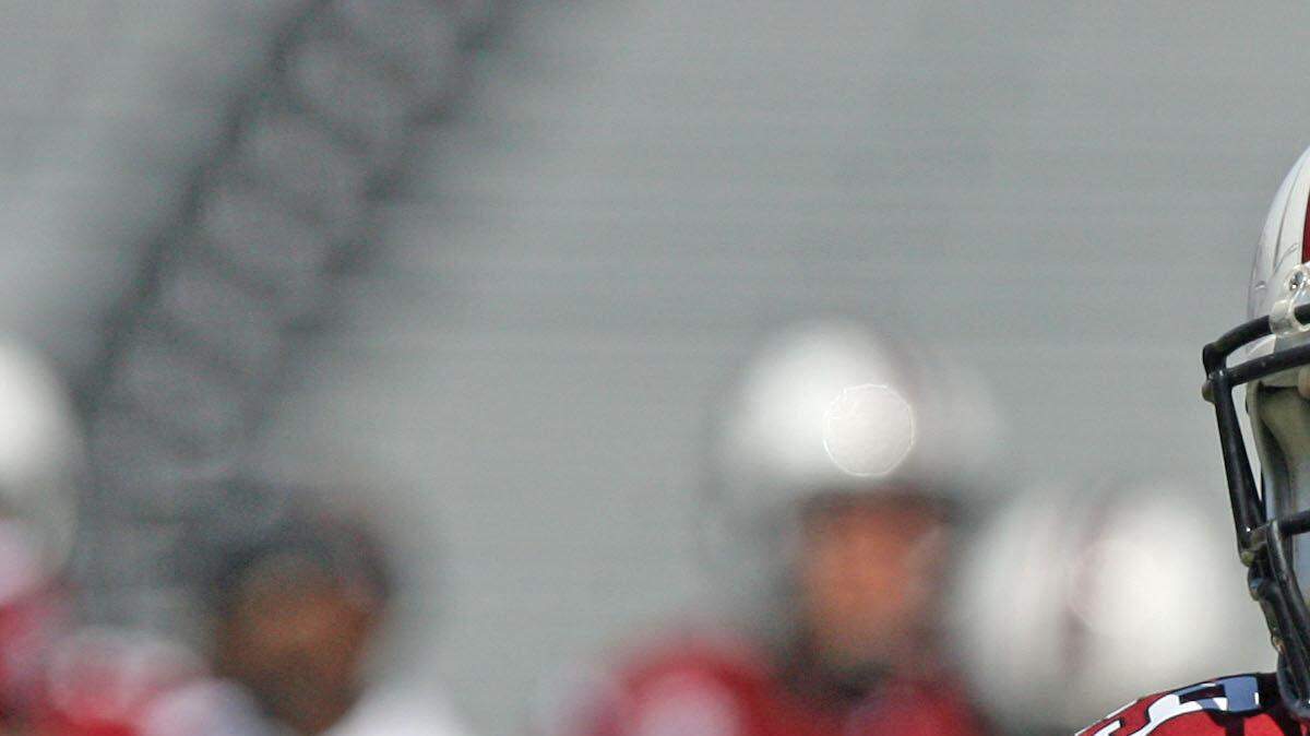 South Carolina running back Devin Potter