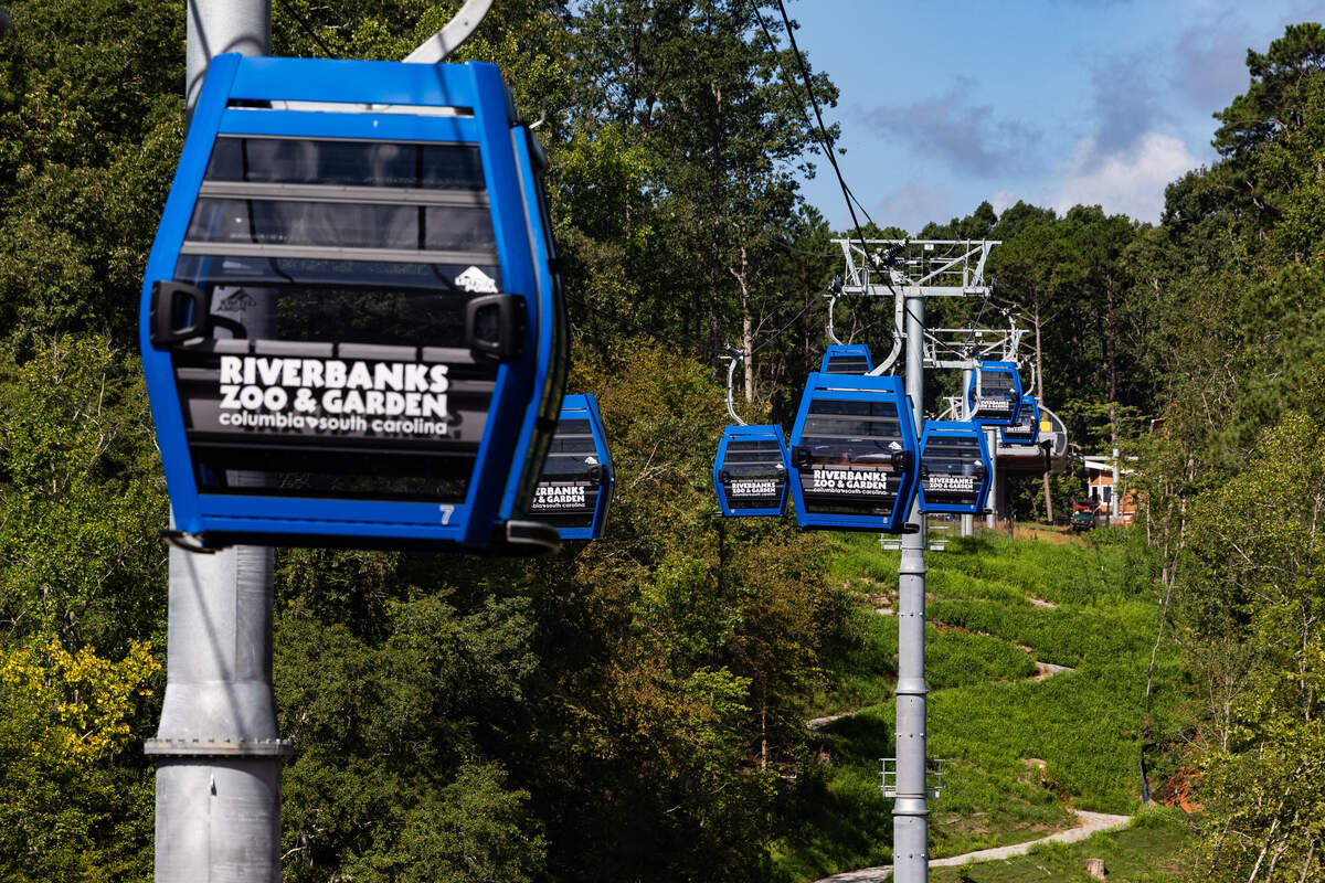 New gondolas are nearly ready to take visitors from one side of the Riverbanks Zoo & Garden to the other on Wednesday, August 13, 2025. The zoo hopes to open the means of conveyance and attraction on Labor Day weekend.