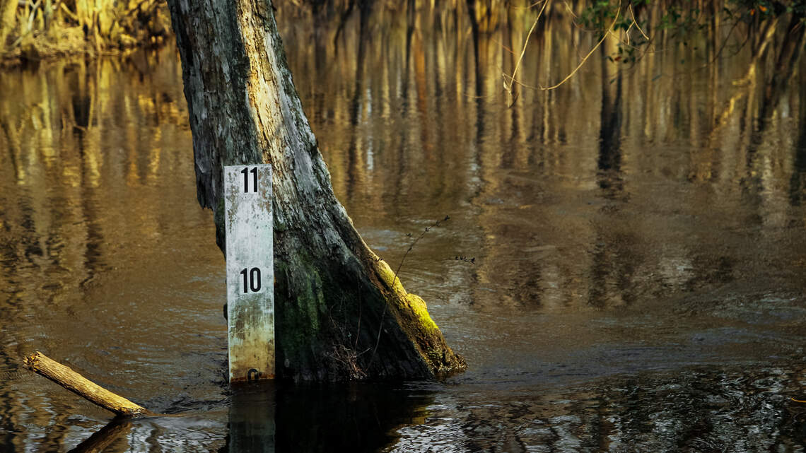 SC agency chose not to protect rivers because of industry pressure, ex-official says