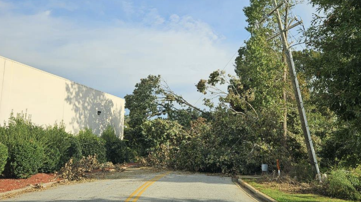 Access to some Greenville County schools was impossible due to downed trees and damaged power lines.
