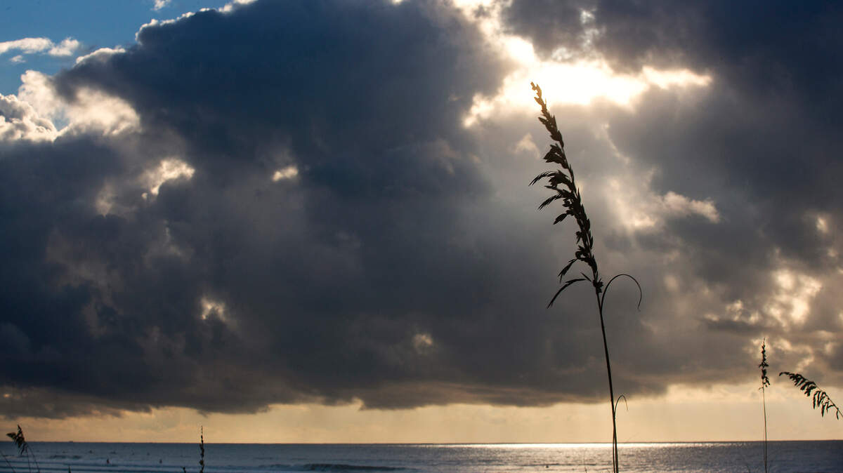 A woman said she was hit with a loose umbrella on Isle of Palms in South Carolina.