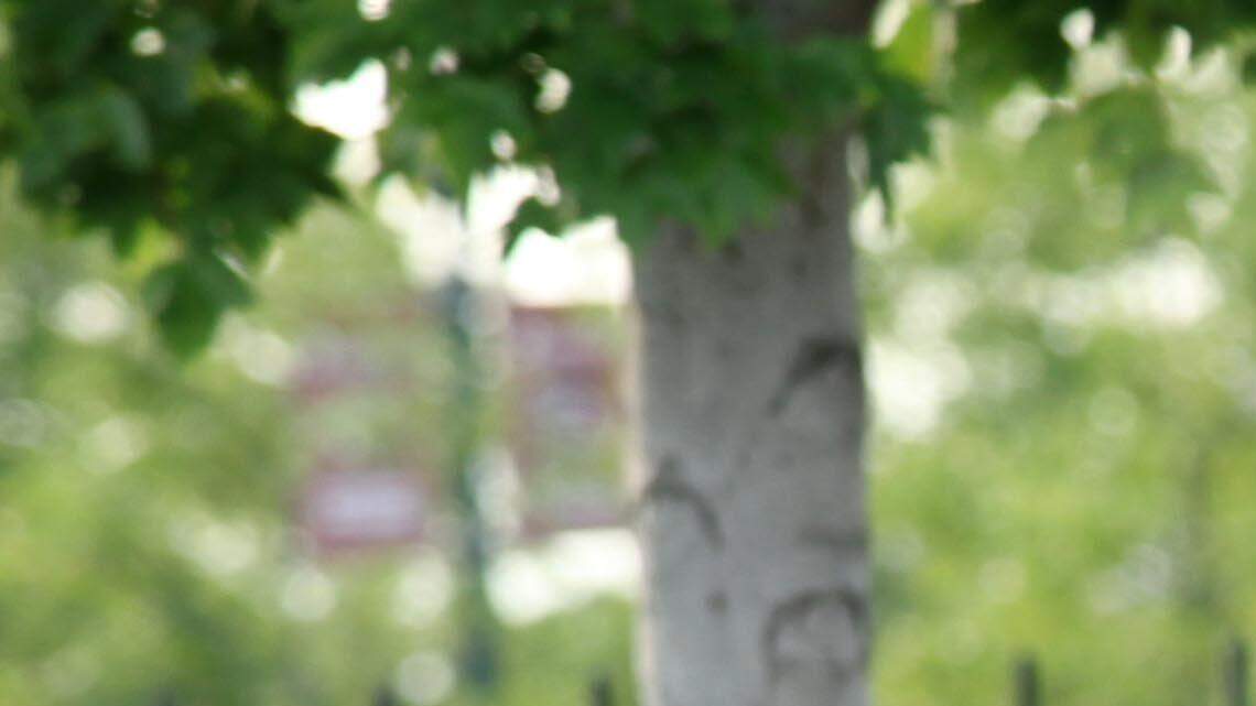 Mike Davis - Scenes from South Carolina's practice at the Proving Grounds on Bluff Road, held Sunday, Aug, 4, 2013.