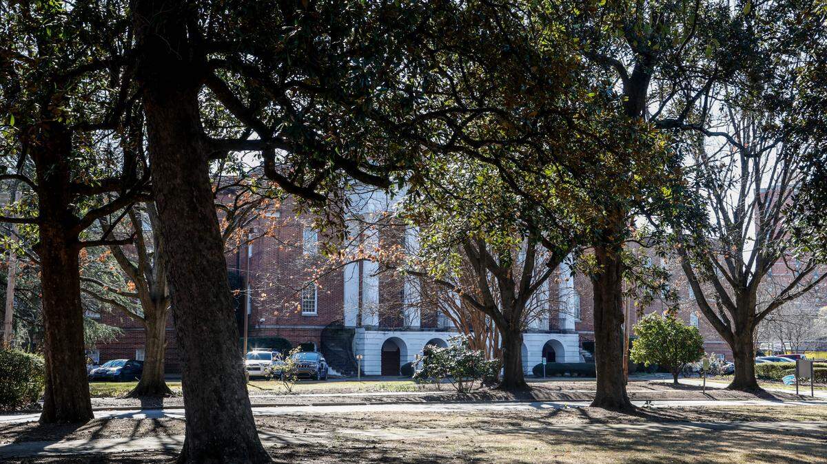 A grove of trees stands in a grassy area of the old state mental hospital in Columbia.