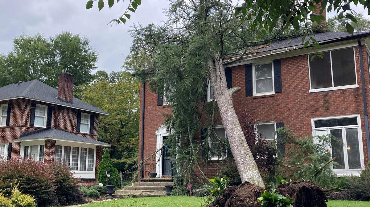 Fallen trees leave Columbia scrambling to clear roads, homes in aftermath of hurricane